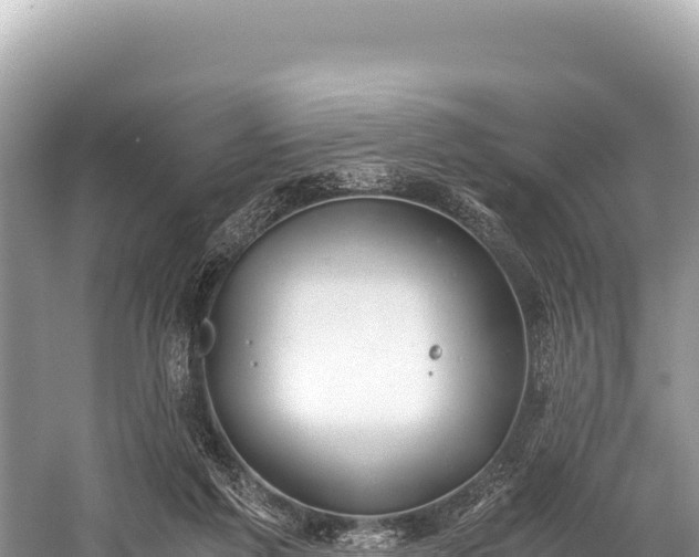 X0000060230213200510311556