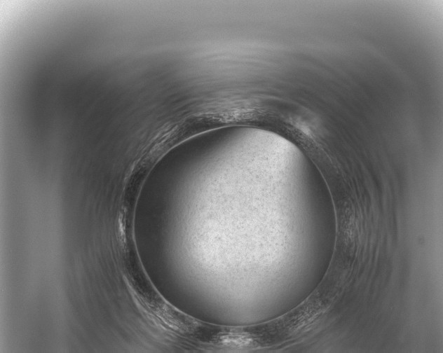 X0000060230214200510311556