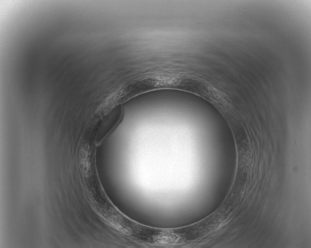 X0000060230215200510311556