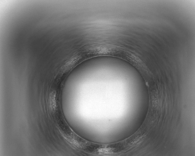 X0000060230216200510311556