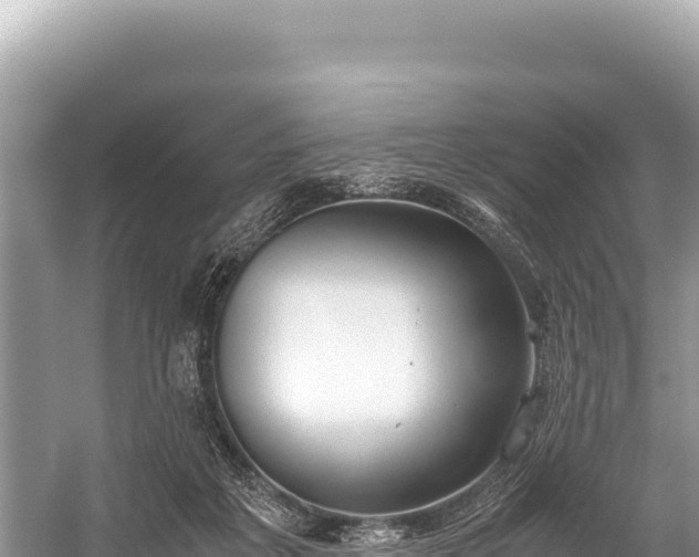 X0000060230217200510311556