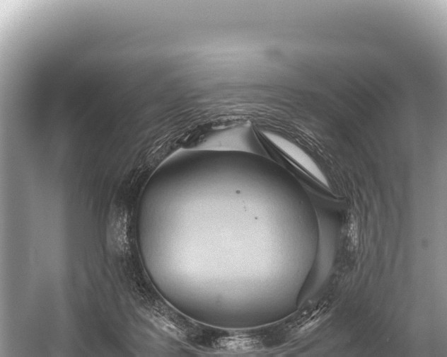 X0000060230219200510311556