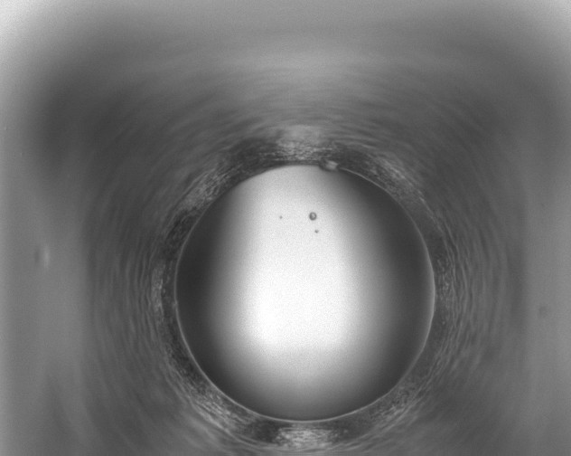 X0000060230221200510311556