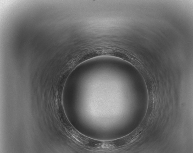 X0000060230223200510311556