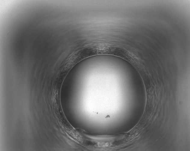 X0000060230225200510311556