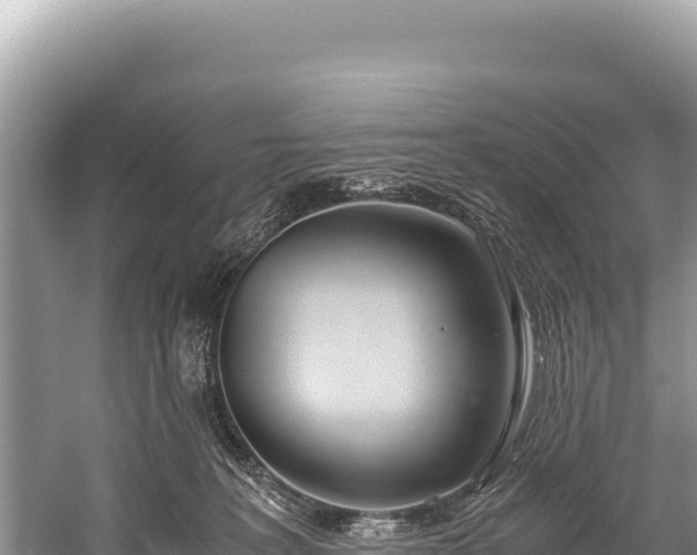 X0000060230227200510311556