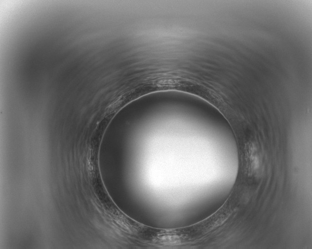 X0000060230228200510311556