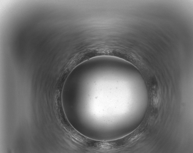 X0000060230229200510311556