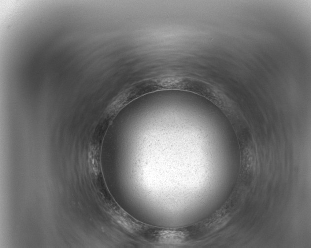 X0000060230234200510311555