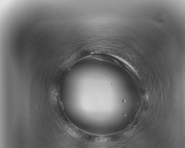 X0000060230235200510311555