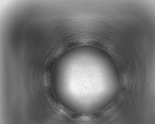 X0000060230236200510311555