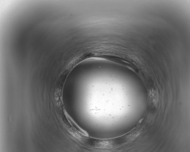 X0000060230237200510311555