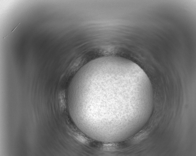 X0000060230240200510311555