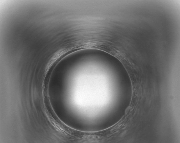 X0000060230242200510311555