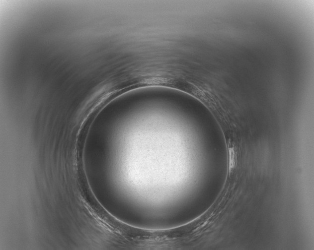 X0000060230243200510311555