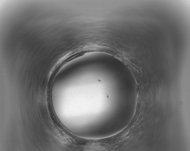 X0000060230244200510311555