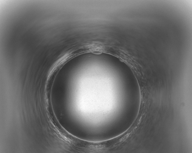 X0000060230245200510311555