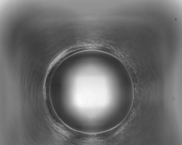 X0000060230246200510311555