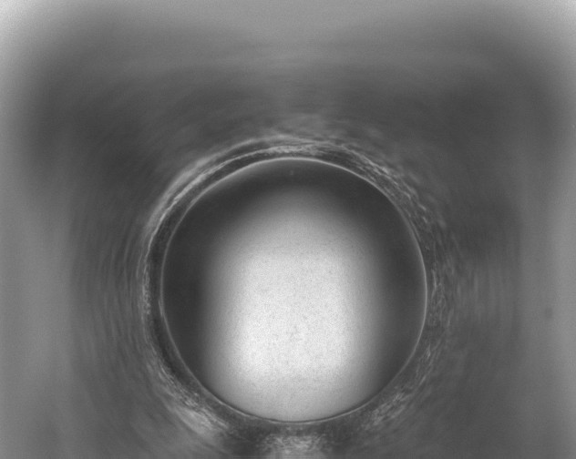 X0000060230247200510311555