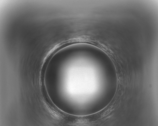 X0000060230248200510311555