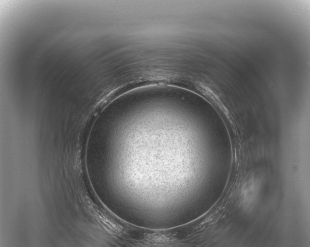 X0000060230249200510311555