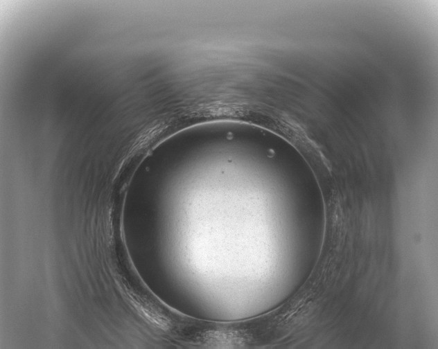 X0000060230250200510311555