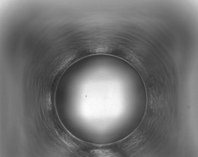 X0000060230251200510311555