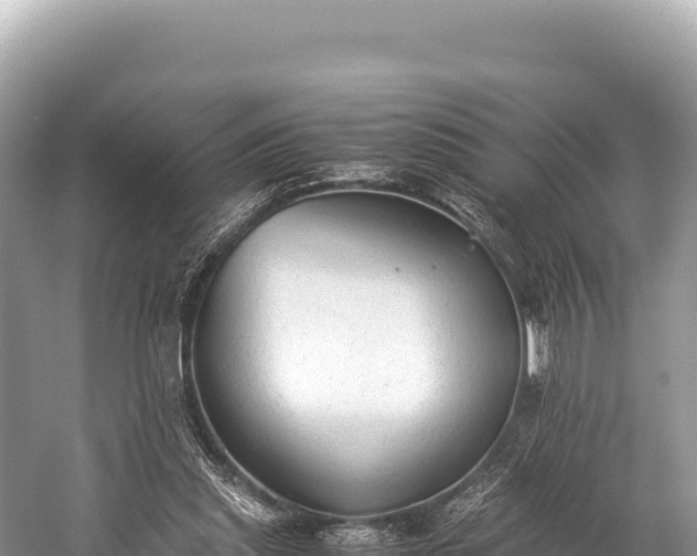 X0000060230253200510311555