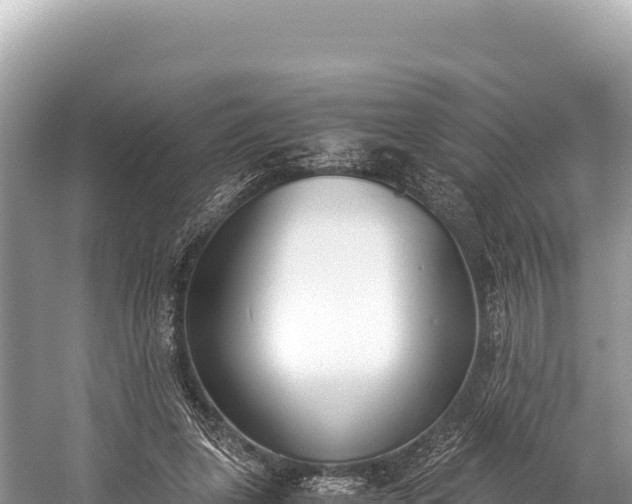 X0000060230255200510311555