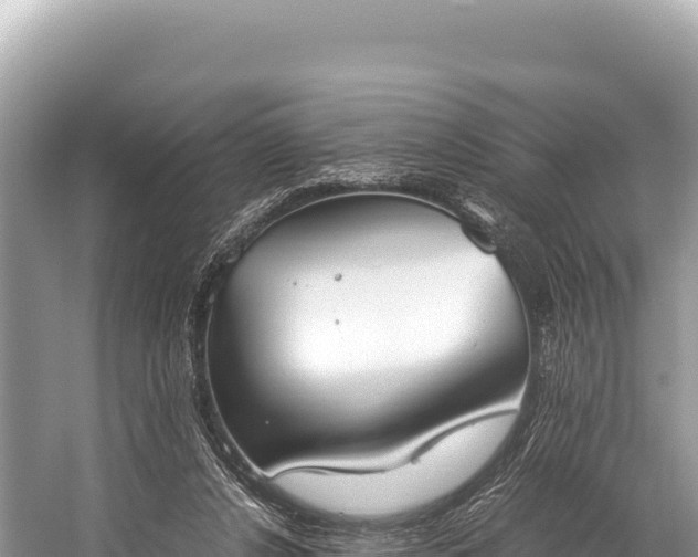 X0000060230256200510311555