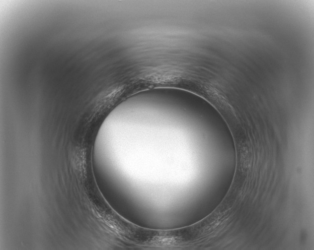 X0000060230260200510311555