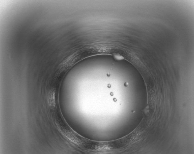 X0000060230262200510311555