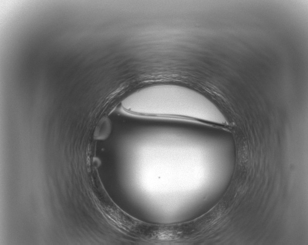 X0000060230264200510311555