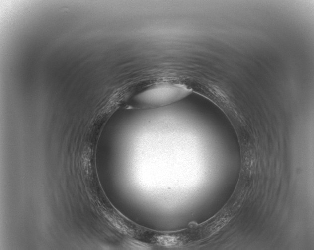 X0000060230265200510311555