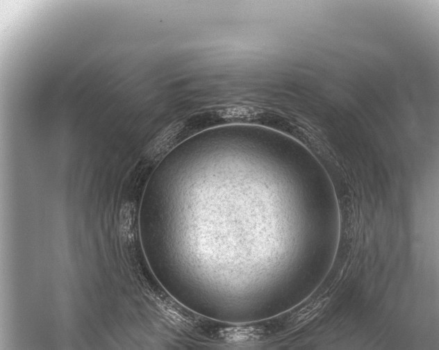 X0000060230273200510311555