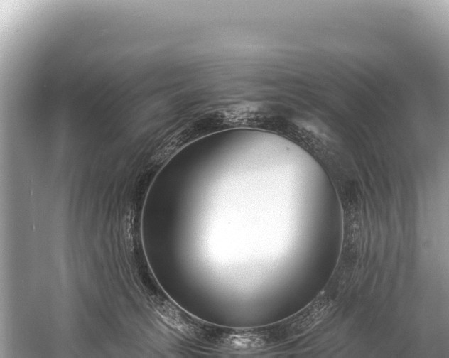 X0000060230275200510311555