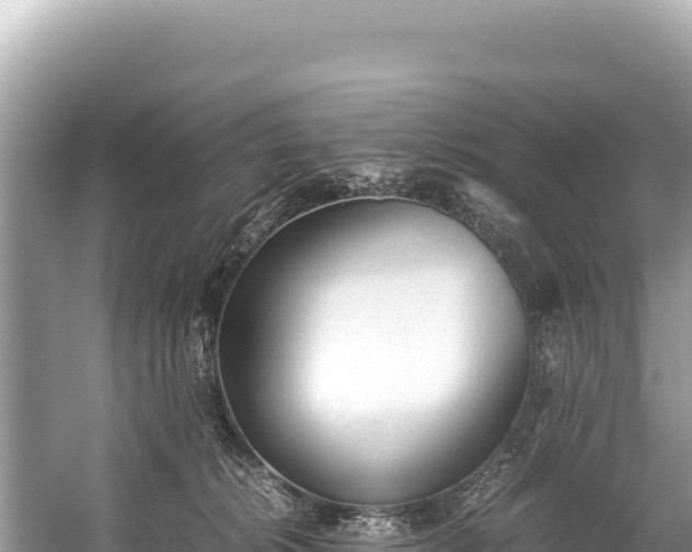 X0000060230276200510311555