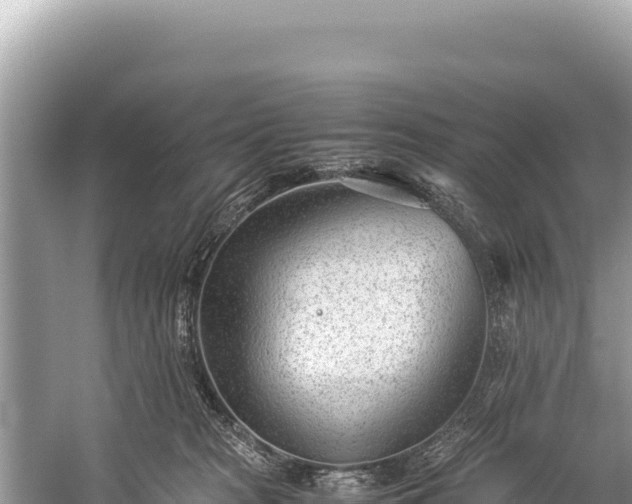 X0000060230277200510311555