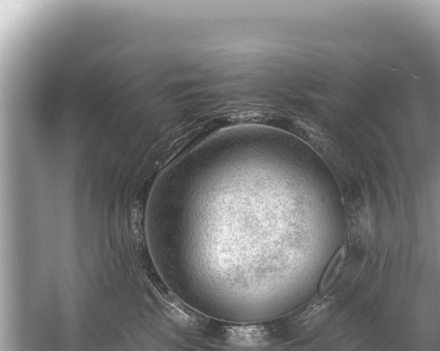 X0000060230281200510311555