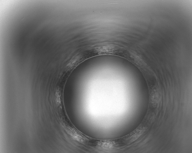 X0000060230282200510311555