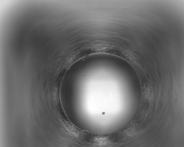 X0000060230283200510311555