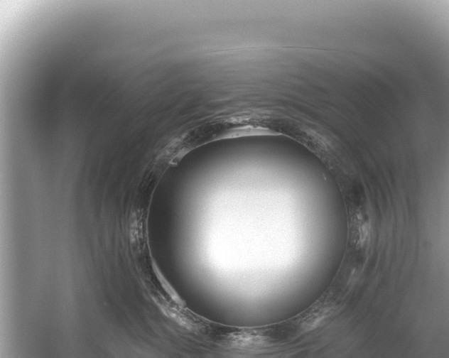 X0000060230284200510311555