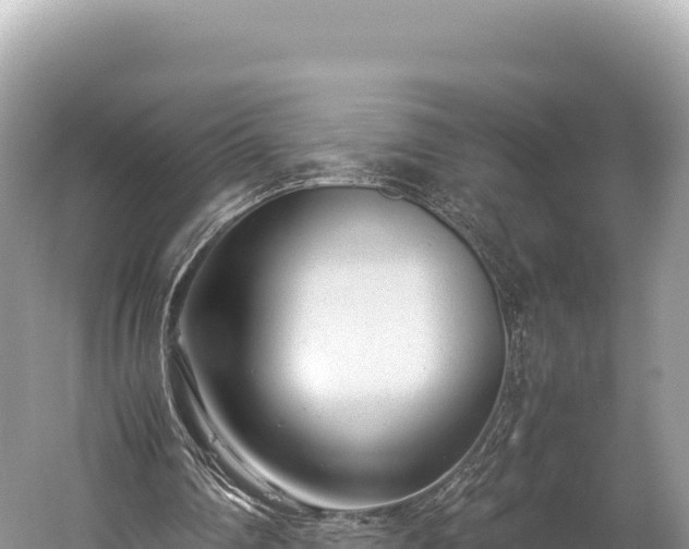 X0000060230290200510311555