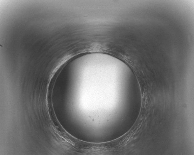 X0000060230292200510311555