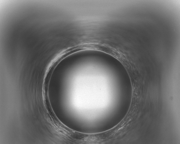 X0000060230294200510311554