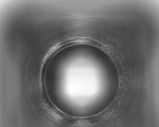 X0000060230296200510311554