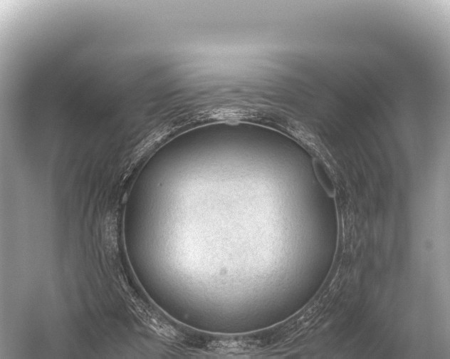 X0000060230297200510311554