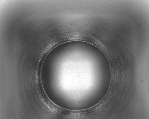 X0000060230298200510311554