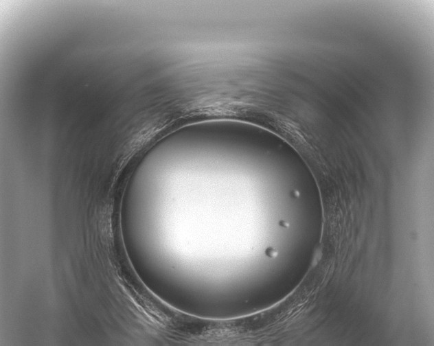 X0000060230299200510311554