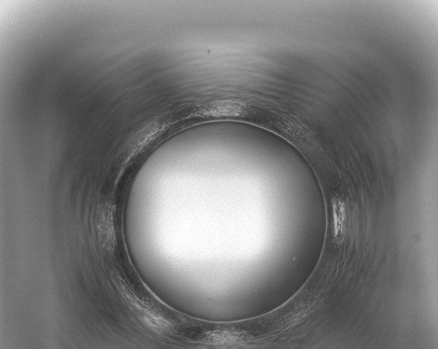 X0000060230300200510311554